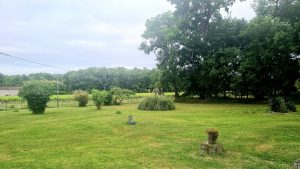 Vue dégagée sur un parc paysager exposé plein sud, avec la pampa en arrière-plan